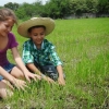 Tour del Arroz